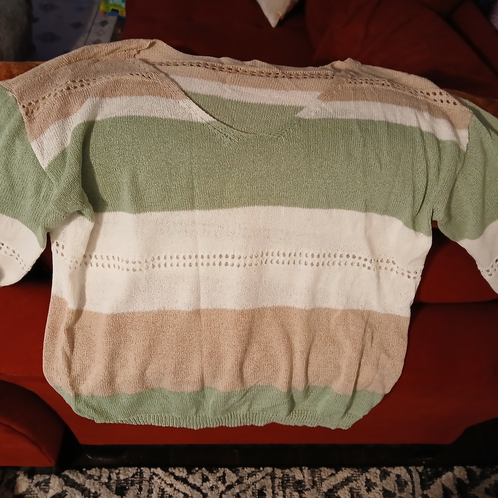 Not Rated Green and Tan V-Neck Sweater